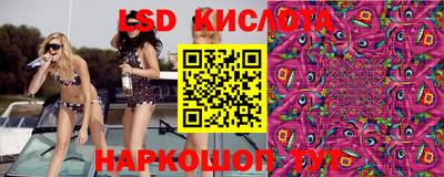 шишки Заволжье