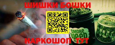 шишки Заволжье
