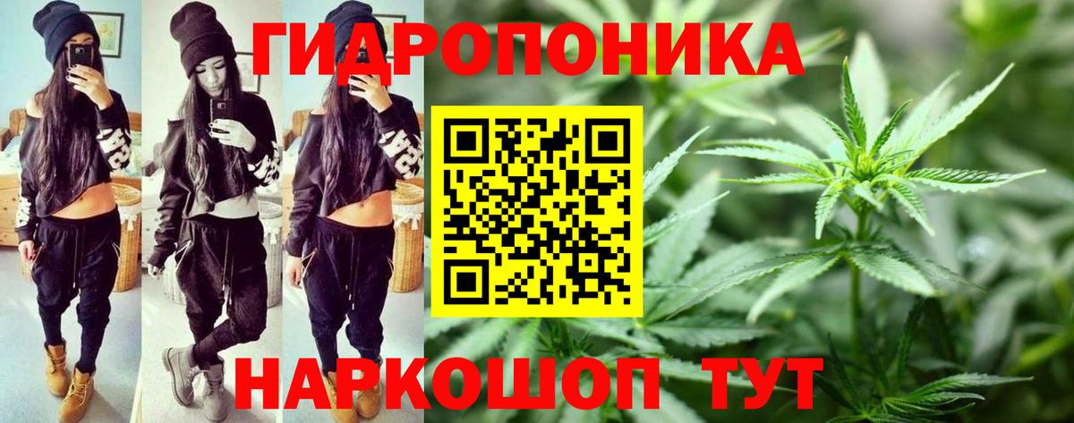 Шишки марихуана гибрид  Канабис Ganja  Бошки марихуана Bruce Banner  Магадан  Вход с VPN 